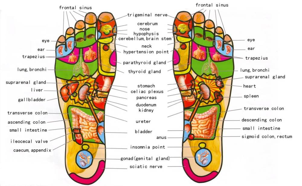 Foot Pressure Points For Arousal